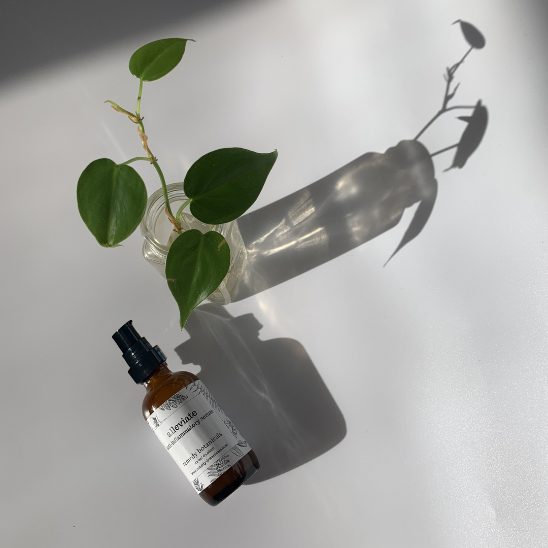 Top view of a bottle of Alleviate serum lying down beside a vase filled with green leaves