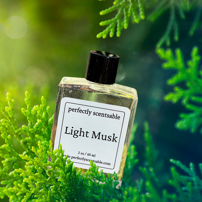 Perfectly Scentsable Light Musk perfume oil, 2 oz/60 ml square bottle tilted among bright green conifer branches on a soft green background.