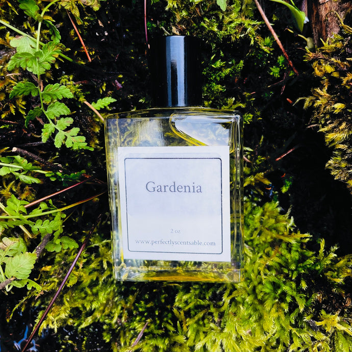 Gardenia, fragrance of the week 🌱