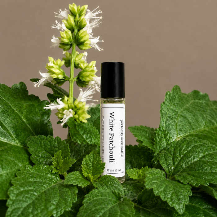 White Patchouli roll-on perfume bottle displayed among lush green patchouli leaves and white flowering stems, set against a soft neutral background with clean natural lighting.
