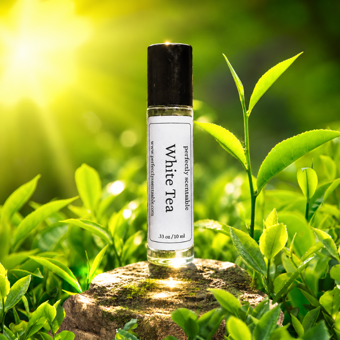 White Tea roll-on perfume bottle standing on a mossy stone among fresh green tea leaves, illuminated by bright natural sunlight with a softly blurred green background.